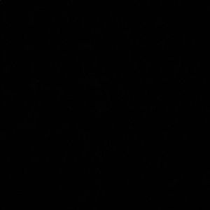 Meet your Posher, Kylee